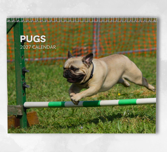 Pug Calendar 2027
