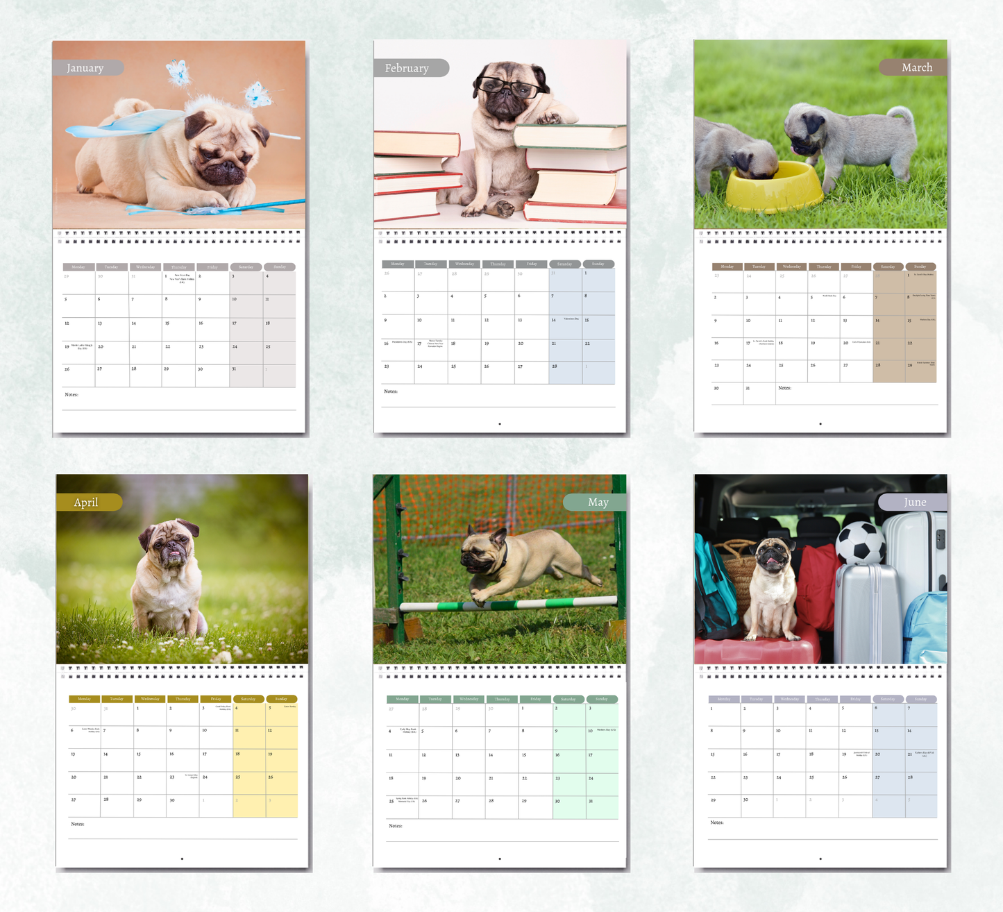 Pug Calendar 2027