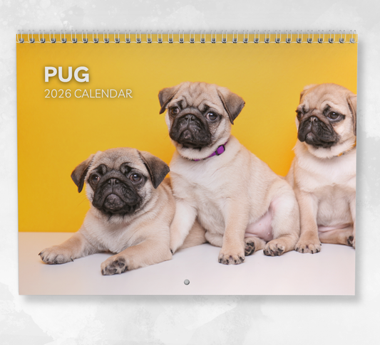 Pug Calendar 2026