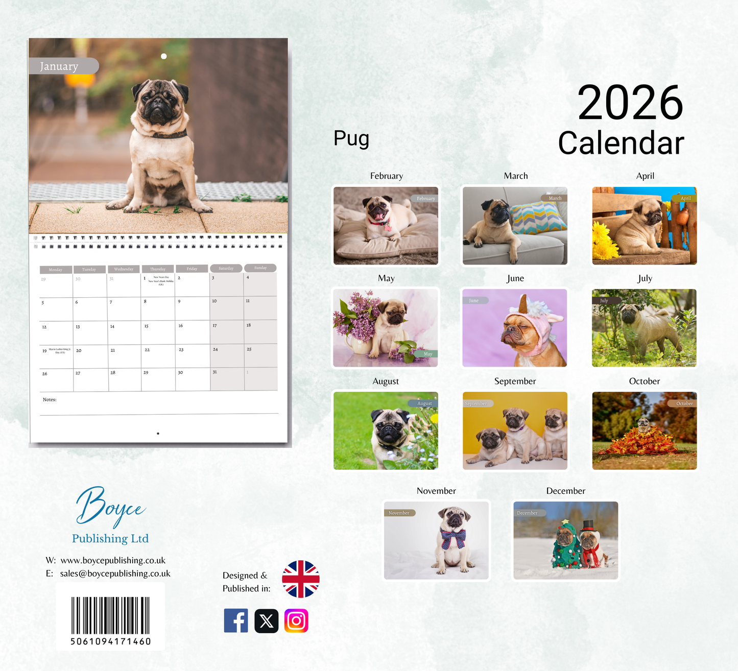 Pug Calendar 2026