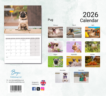 Pug Calendar 2026
