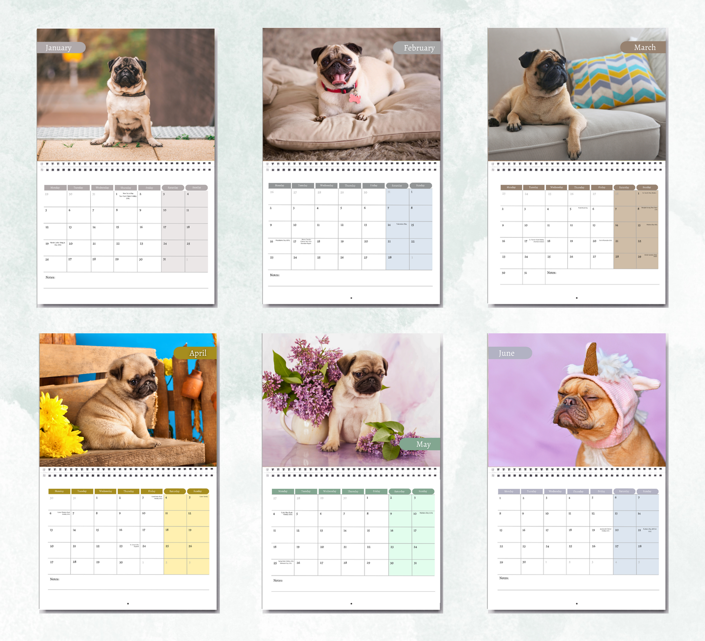 Pug Calendar 2026