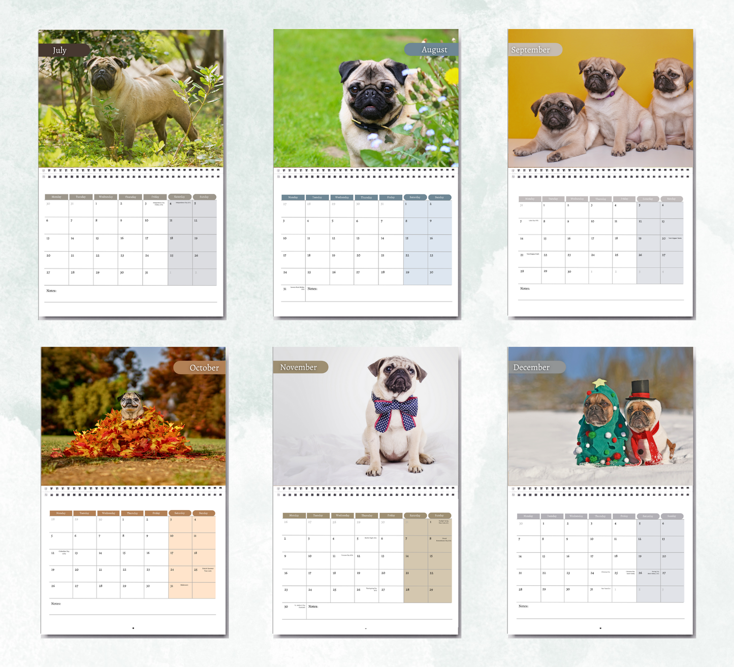 Pug Calendar 2026