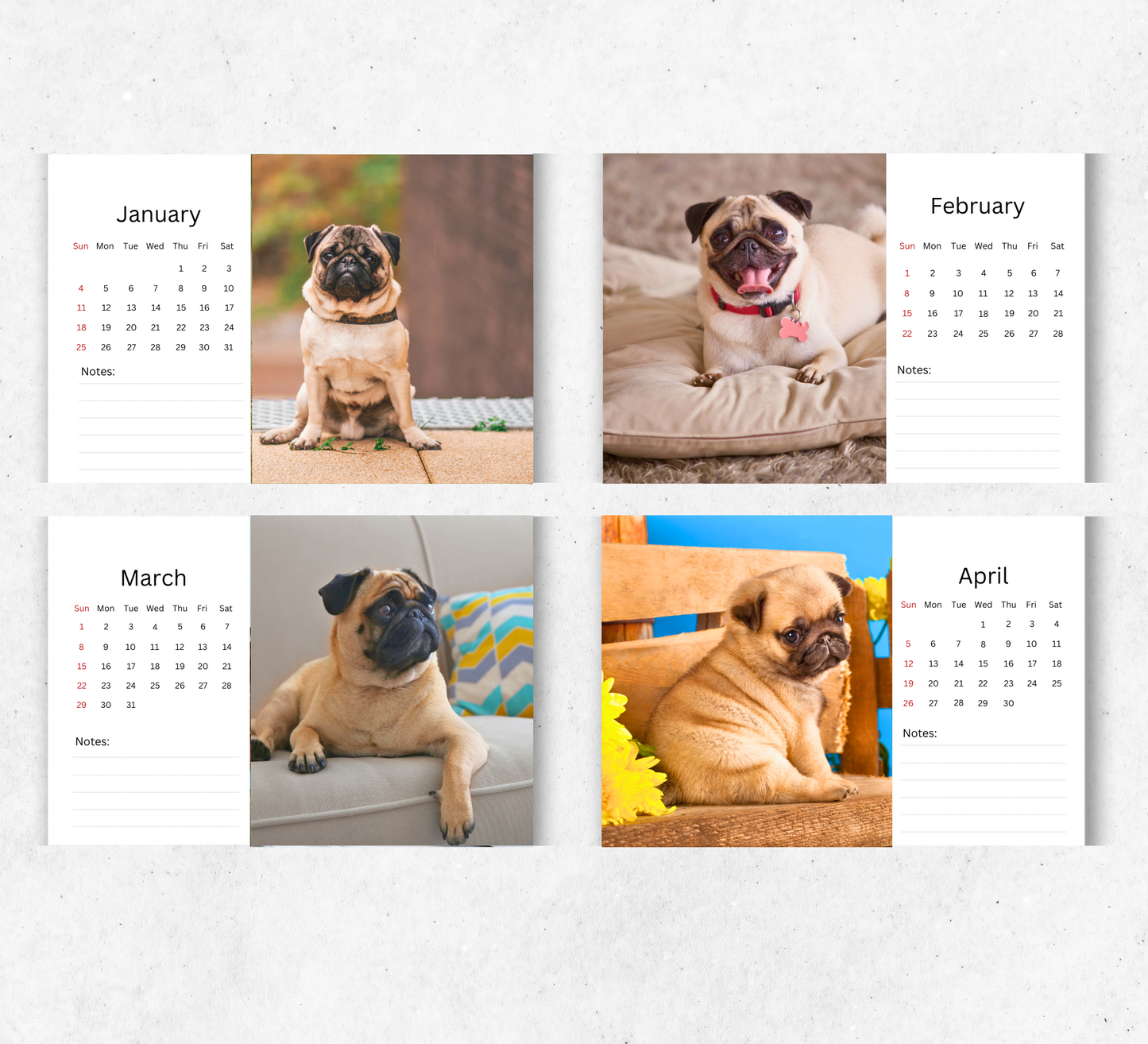 Pug Desk Calendar 2026-2027