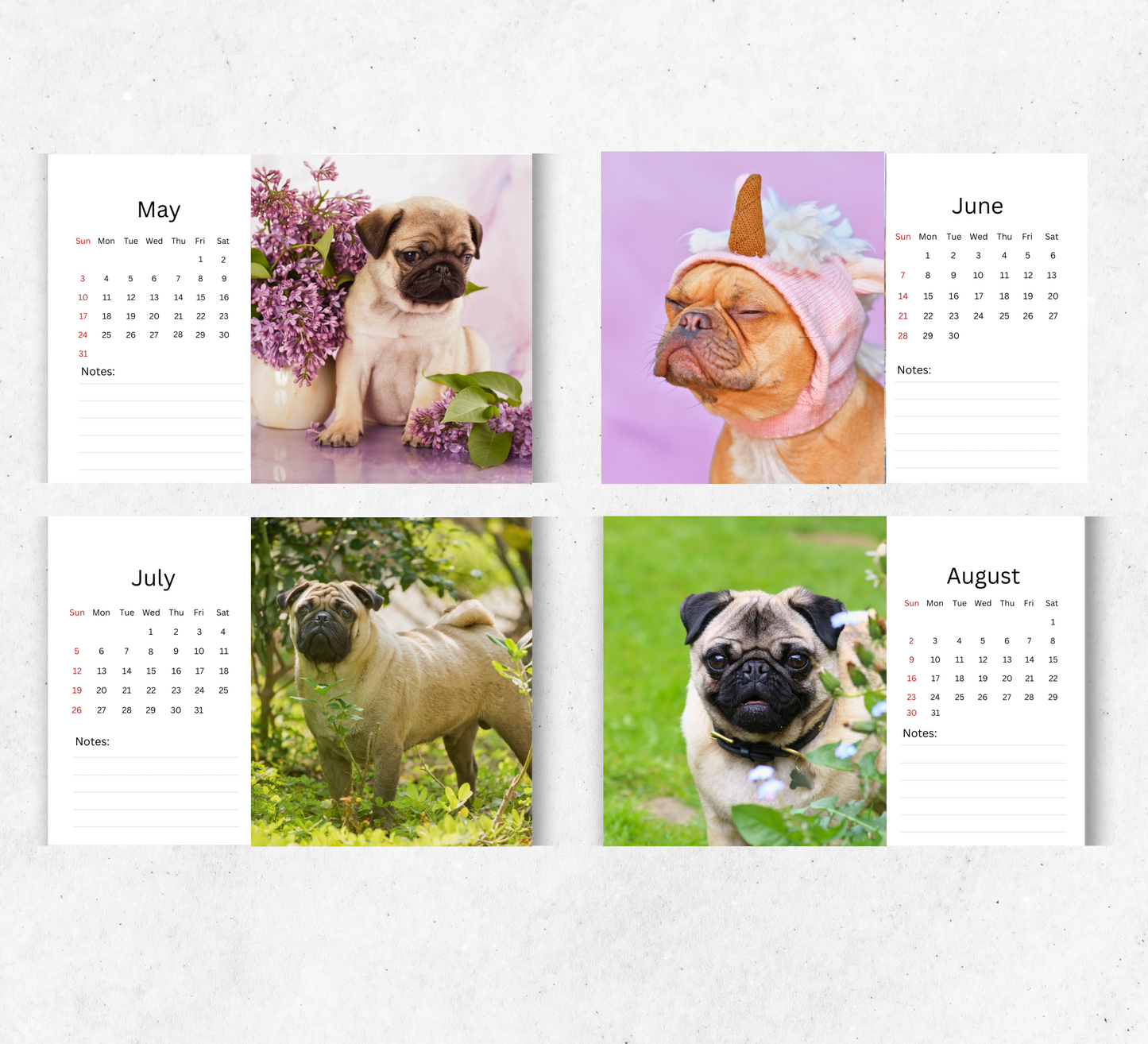Pug Desk Calendar 2026-2027