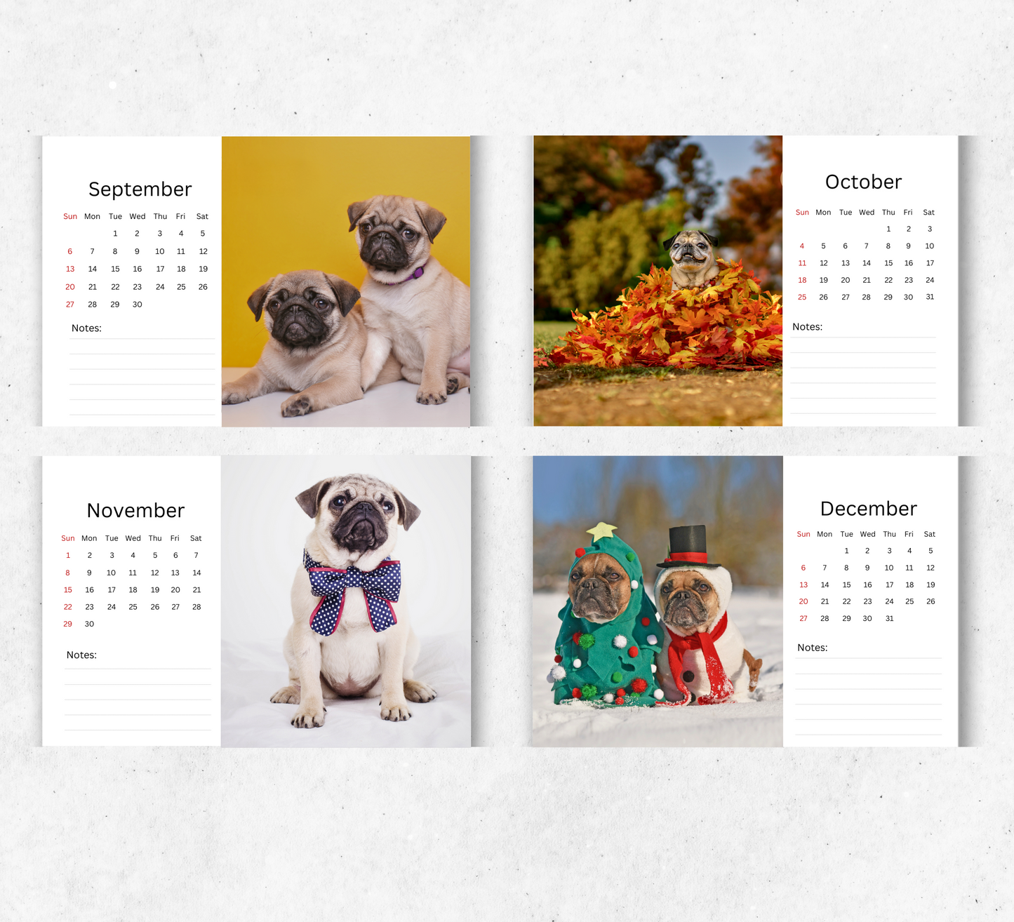 Pug Desk Calendar 2026-2027