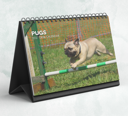 Pug Desk Calendar 2027-2028