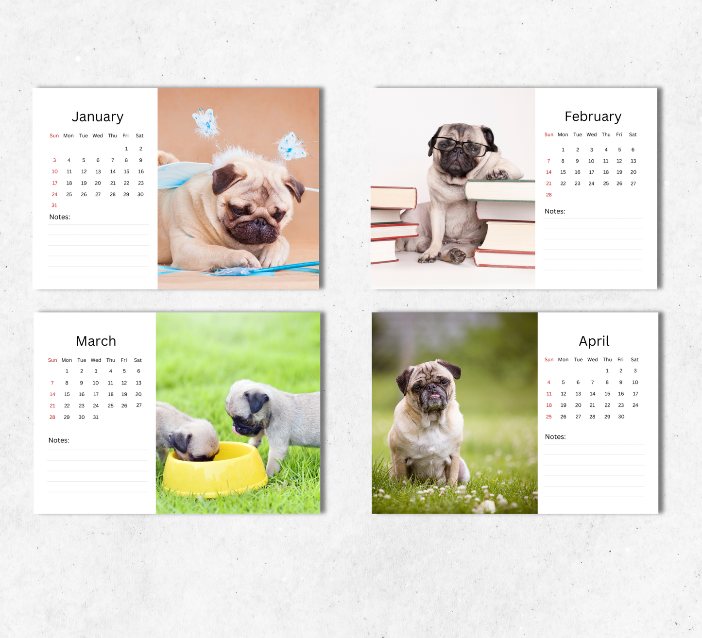 Pug Desk Calendar 2027-2028