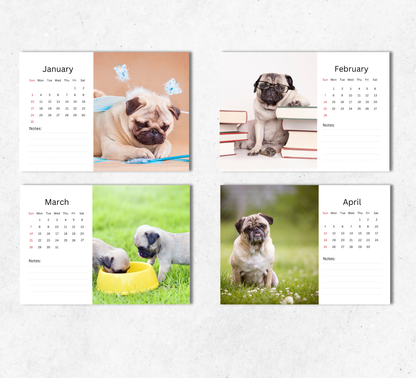 Pug Desk Calendar 2027-2028