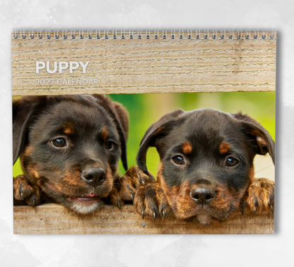 Puppy Calendar 2027