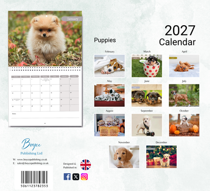 Puppy Calendar 2027