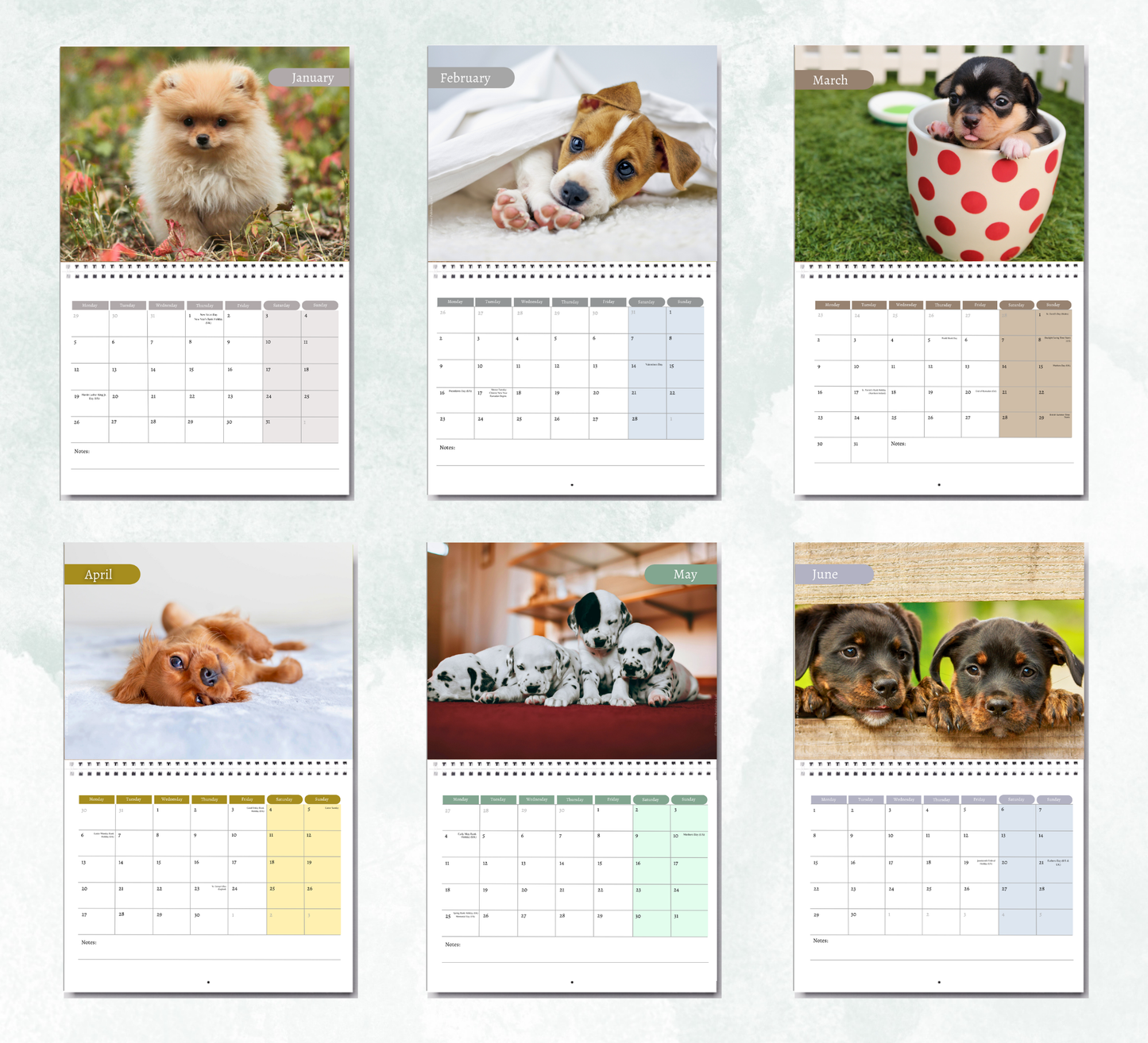 Puppy Calendar 2027