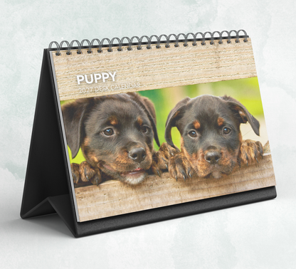 Puppy Desk Calendar 2027-2028