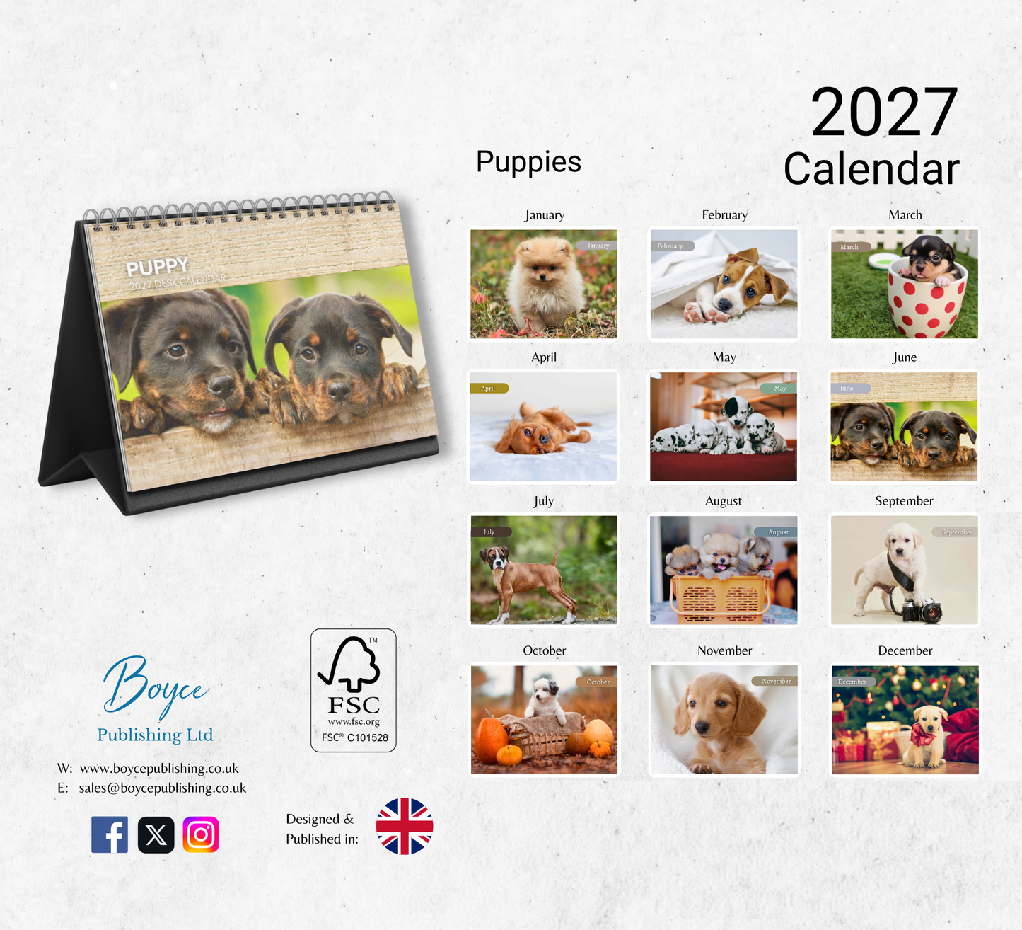 Puppy Desk Calendar 2027-2028