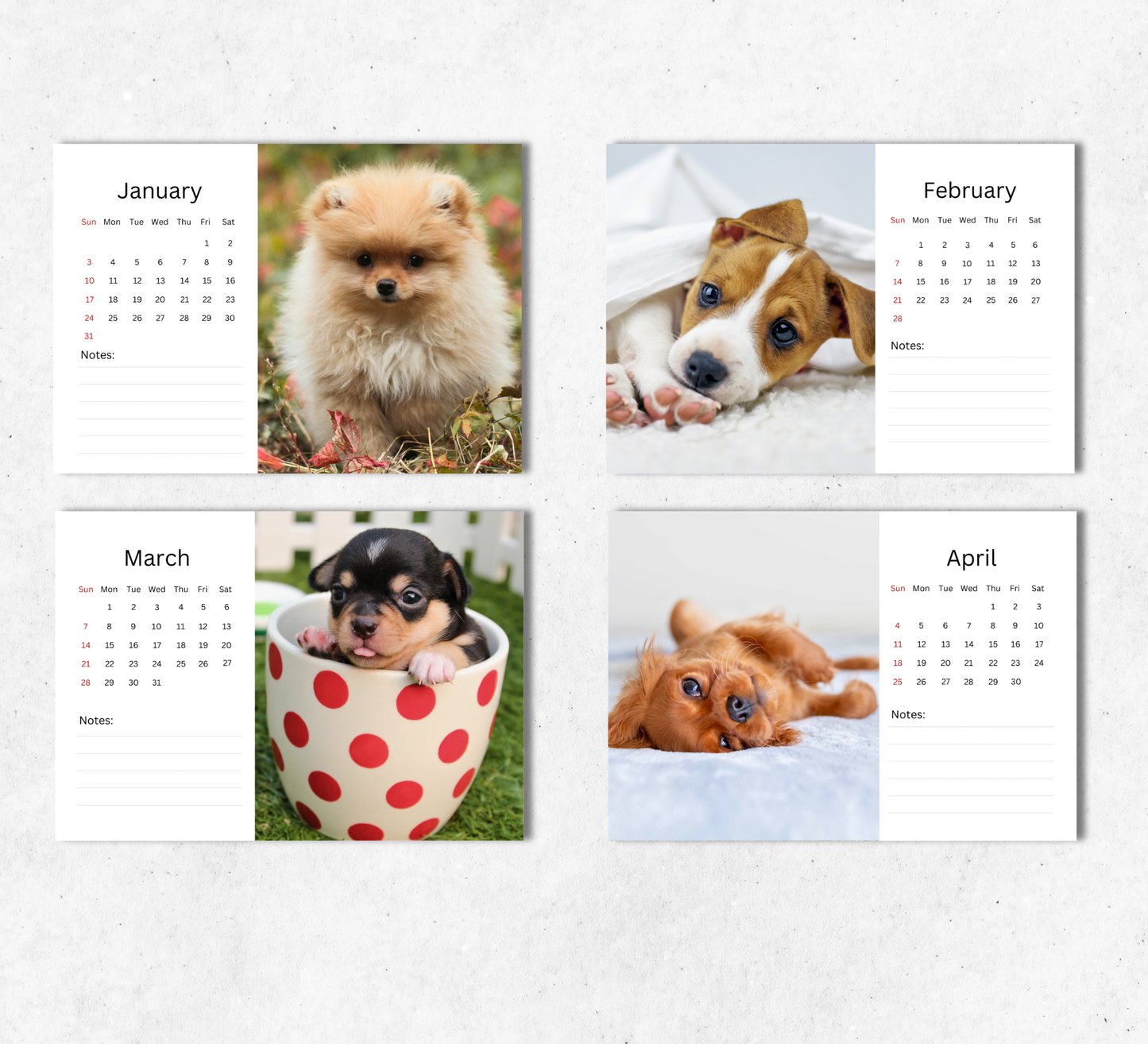 Puppy Desk Calendar 2027-2028