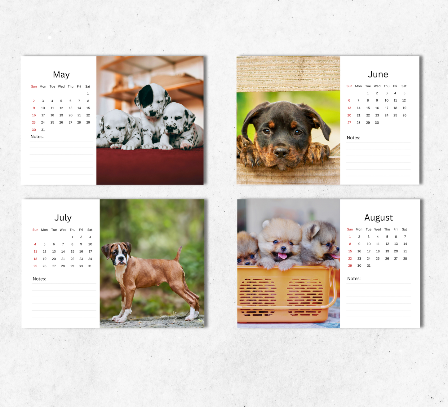 Puppy Desk Calendar 2027-2028
