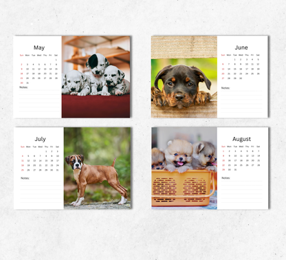 Puppy Desk Calendar 2027-2028