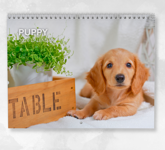 Puppy Calendar 2026