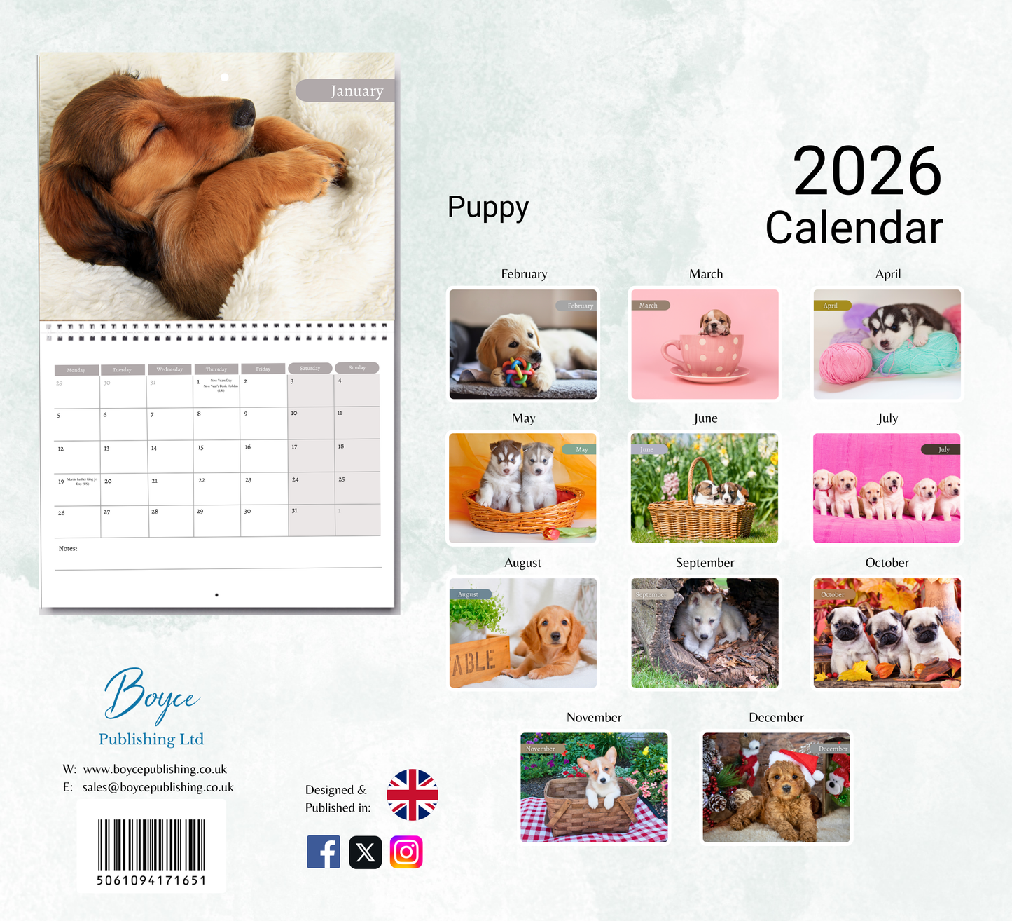 Puppy Calendar 2026