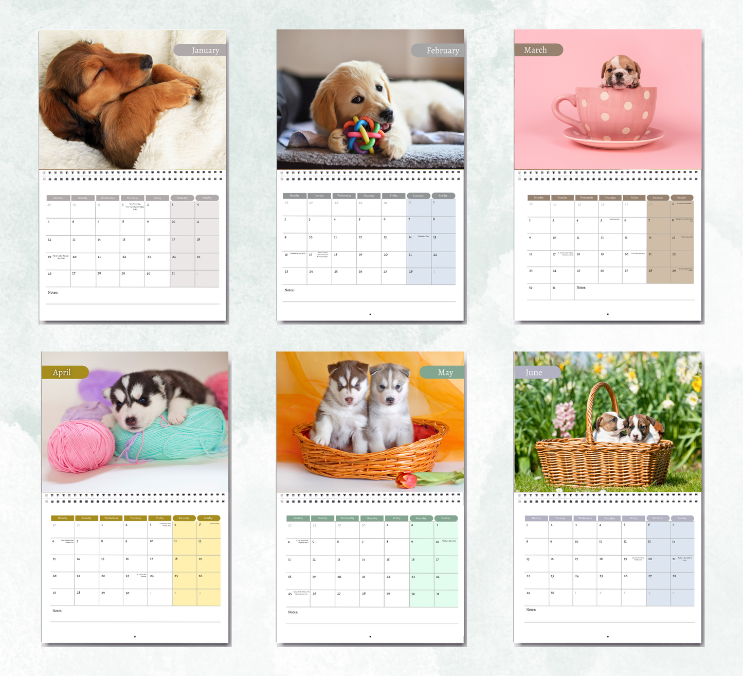 Puppy Calendar 2026