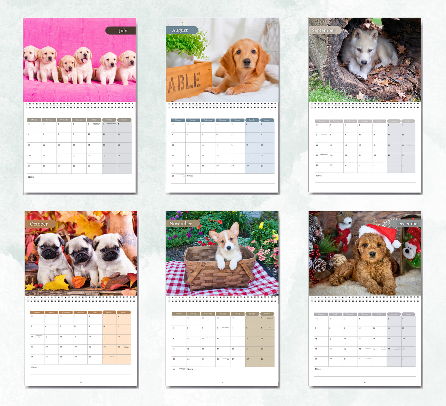 Puppy Calendar 2026