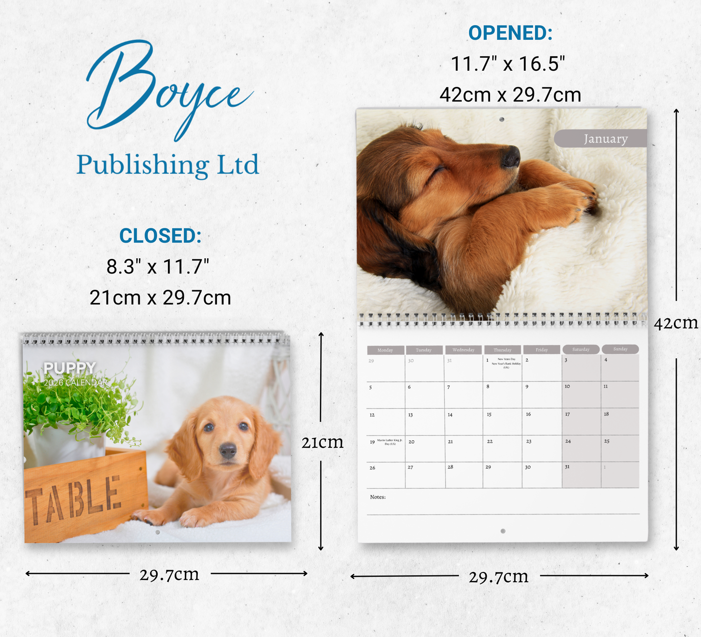 Puppy Calendar 2026