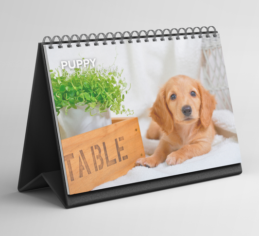 Puppy Desk Calendar 2026-2027