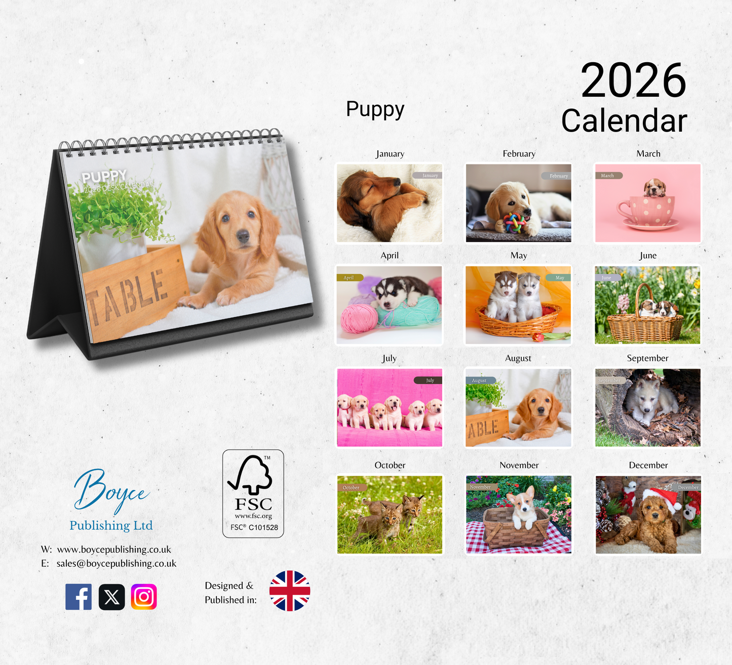 Puppy Desk Calendar 2026-2027