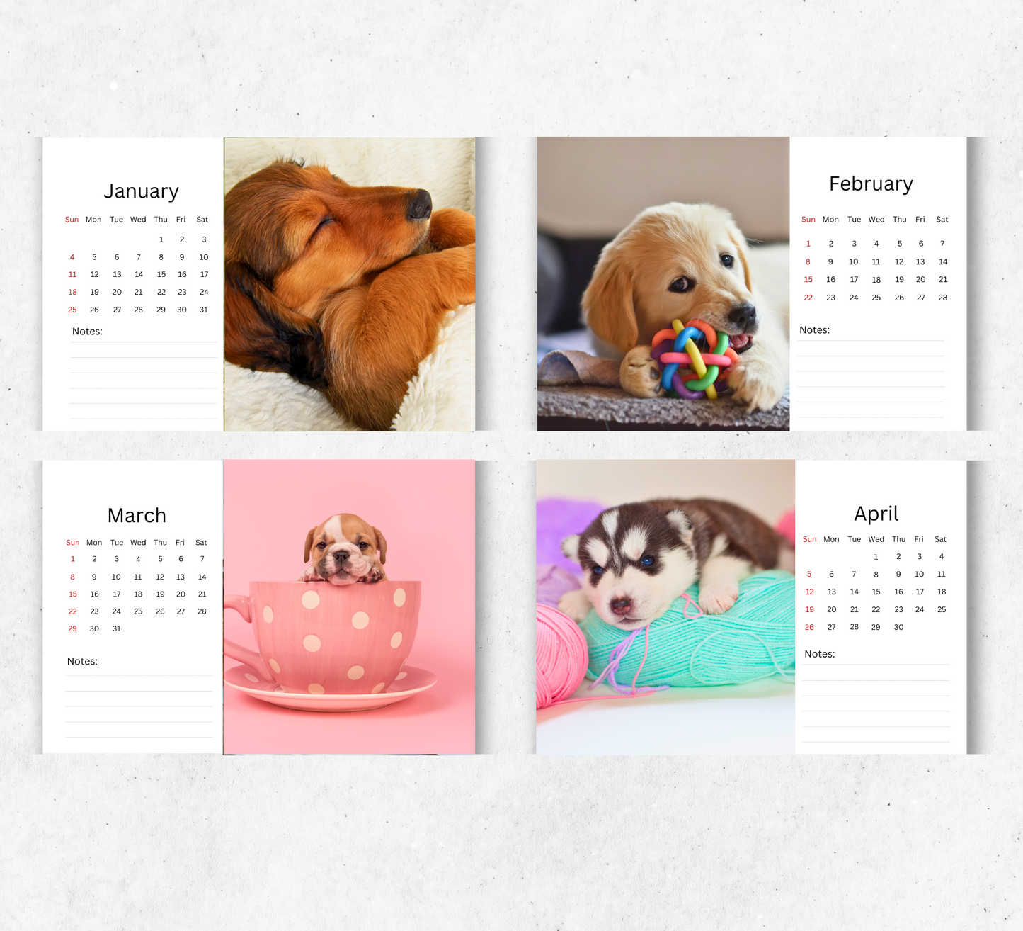 Puppy Desk Calendar 2026-2027