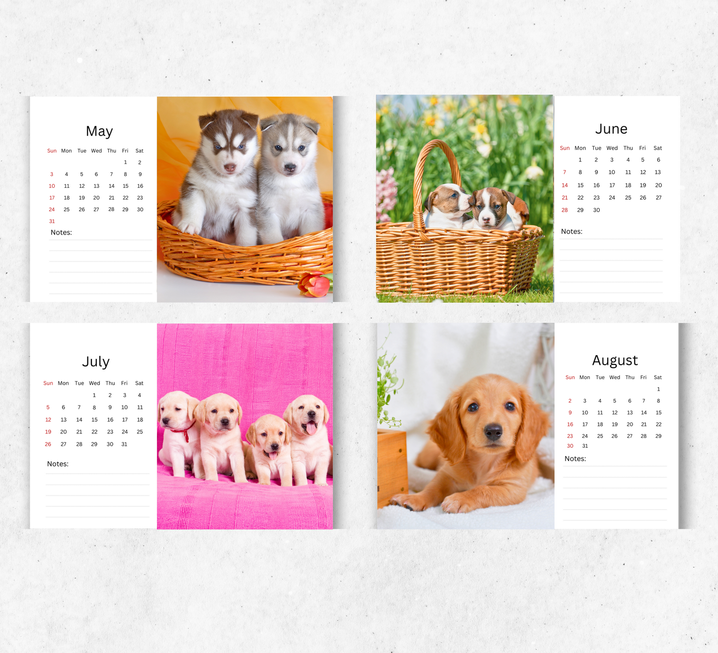 Puppy Desk Calendar 2026-2027