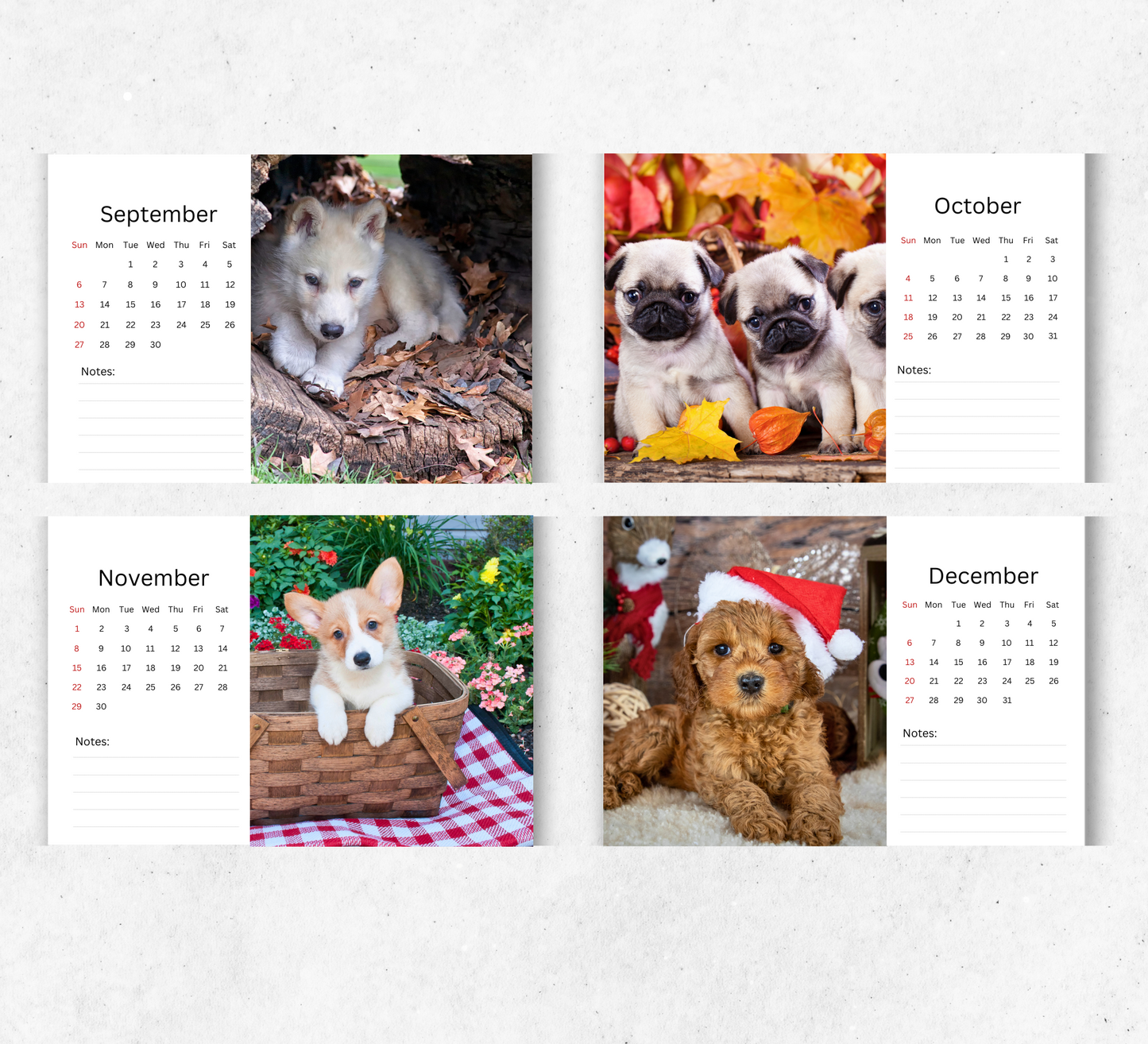 Puppy Desk Calendar 2026-2027
