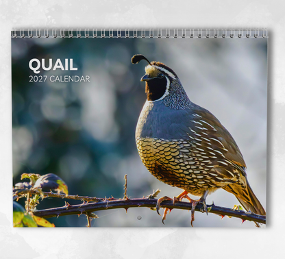 Quail Calendar 2027