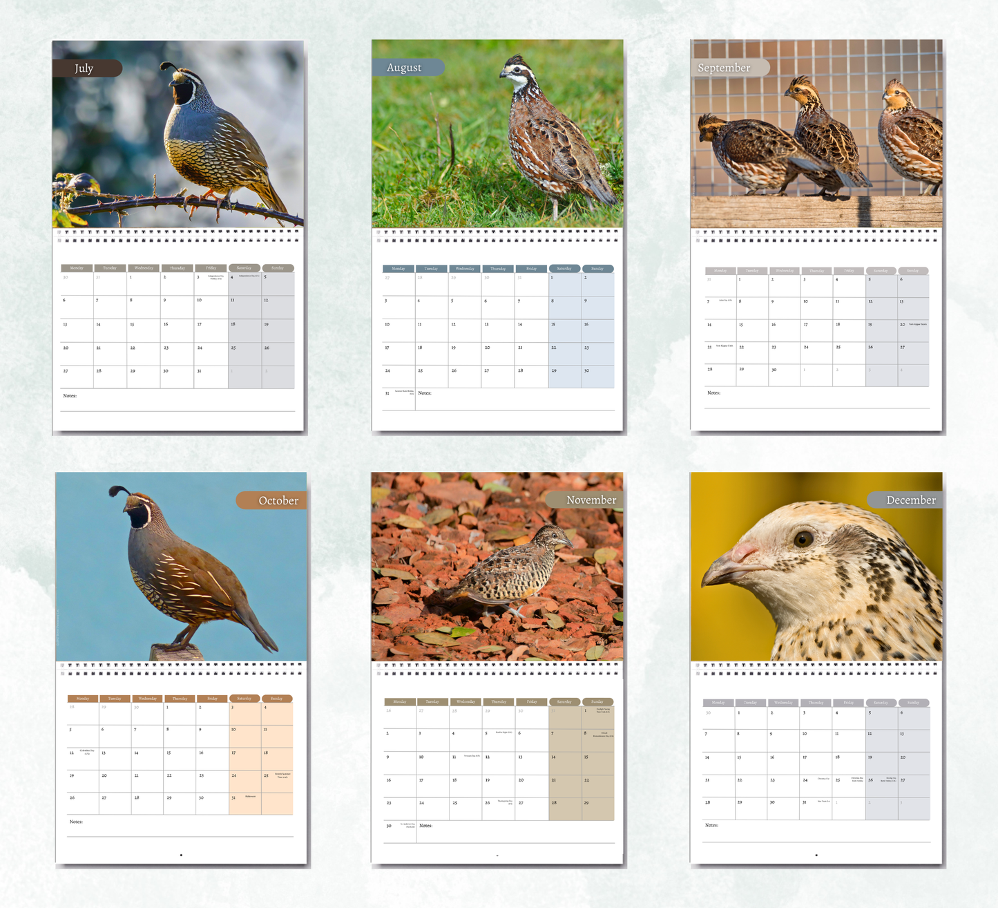 Quail Calendar 2027