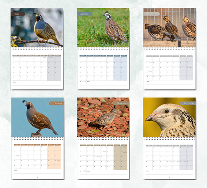 Quail Calendar 2027