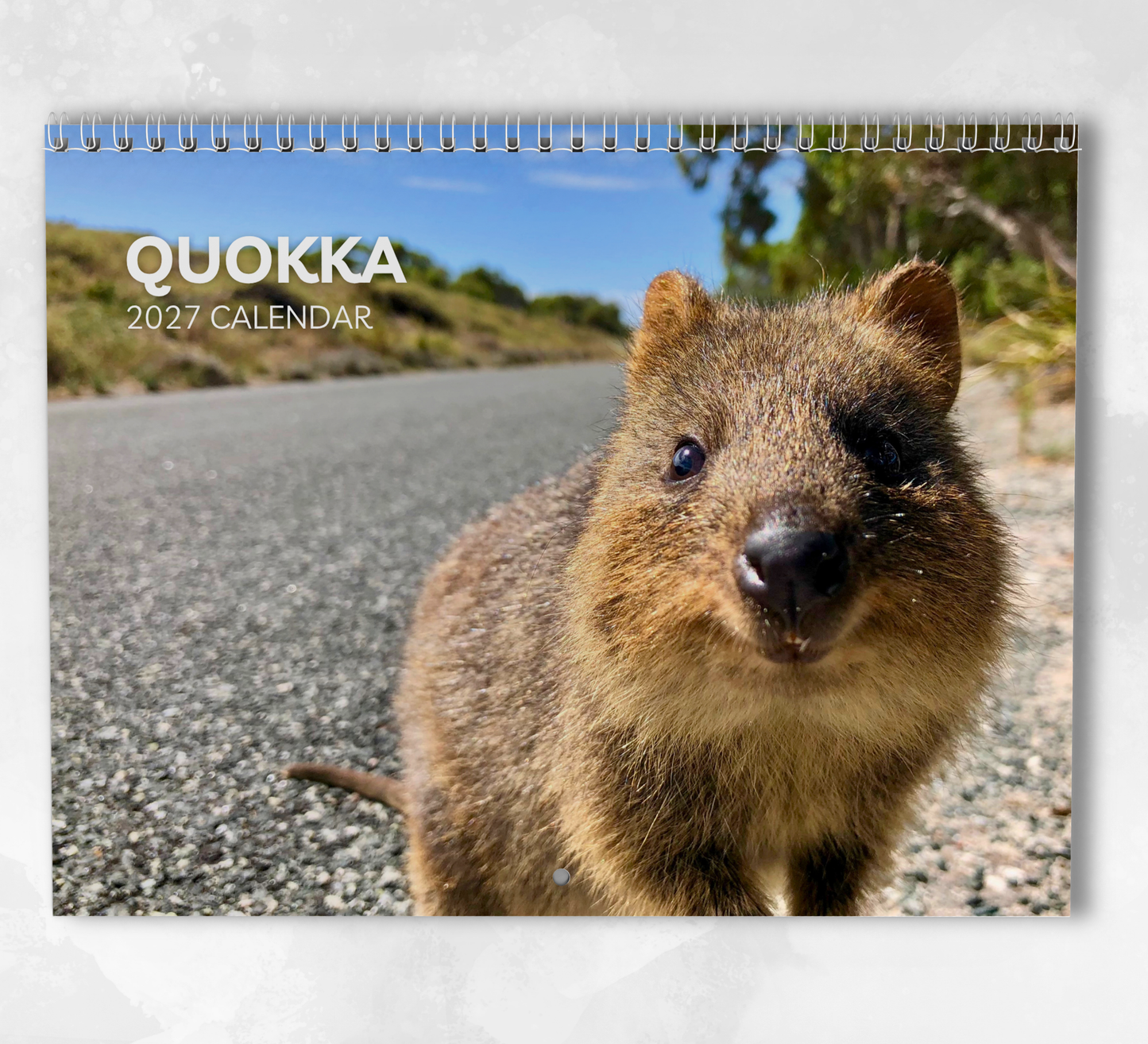 Quokka Calendar 2027