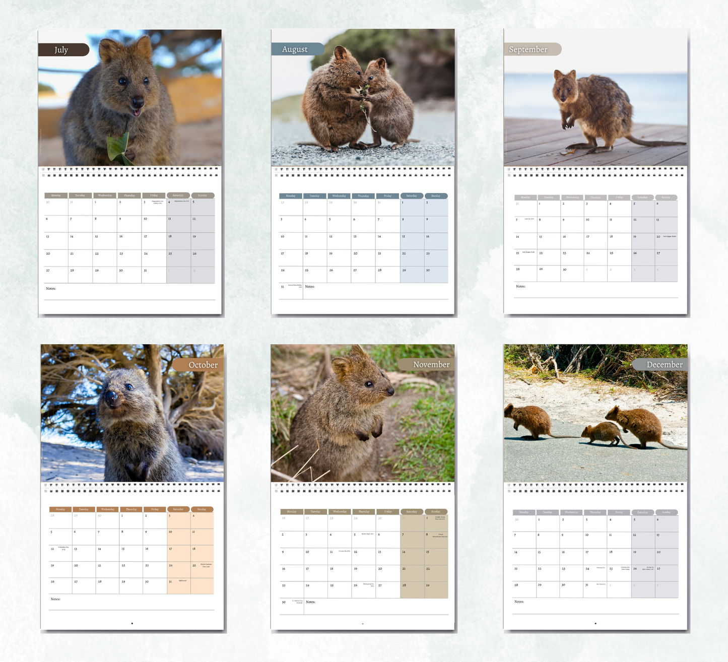 Quokka Calendar 2027
