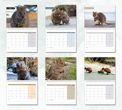 Quokka Calendar 2027
