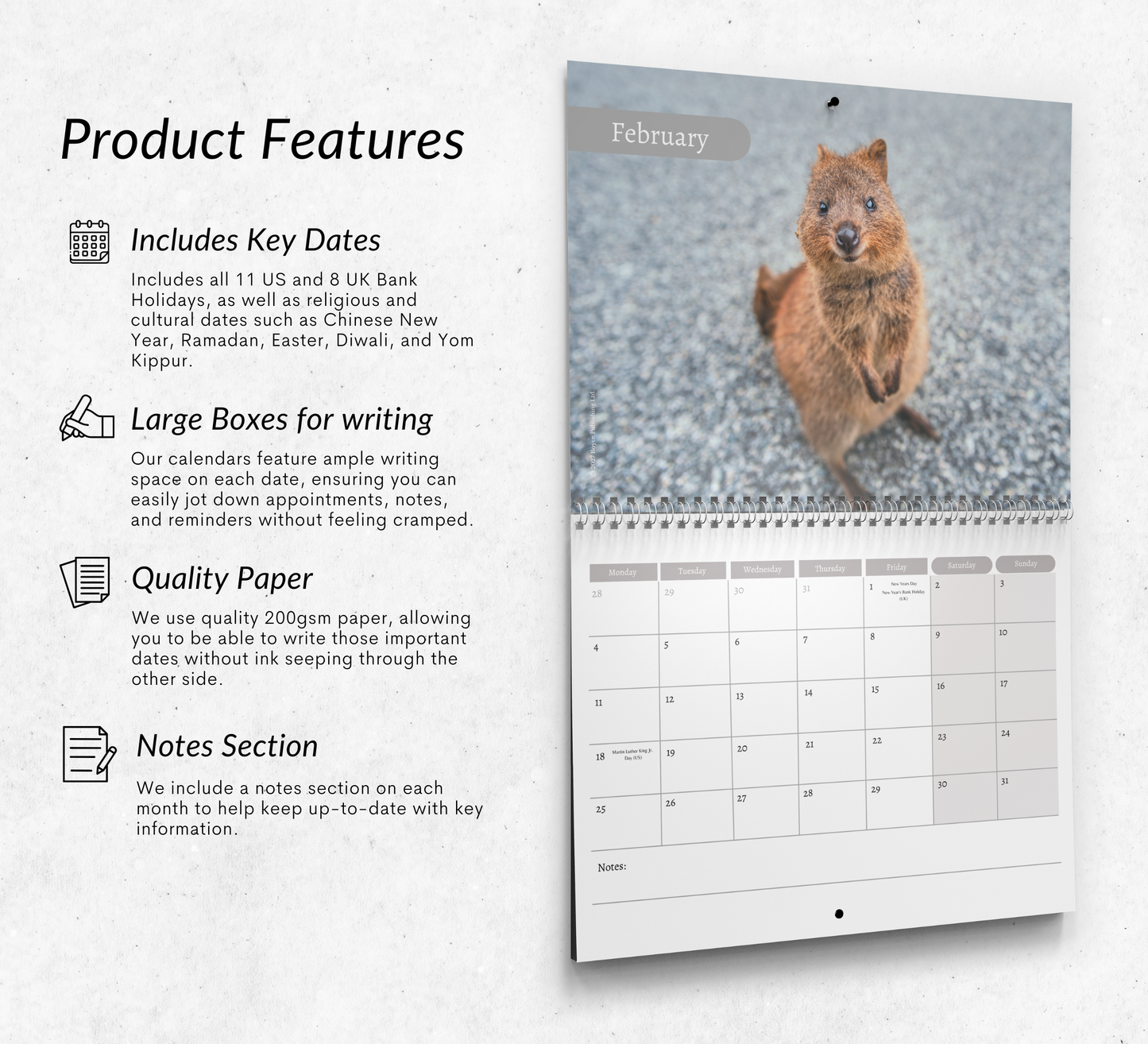 Quokka Calendar 2027