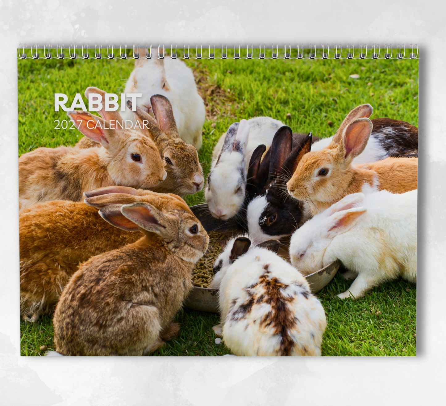 Rabbit Calendar 2027