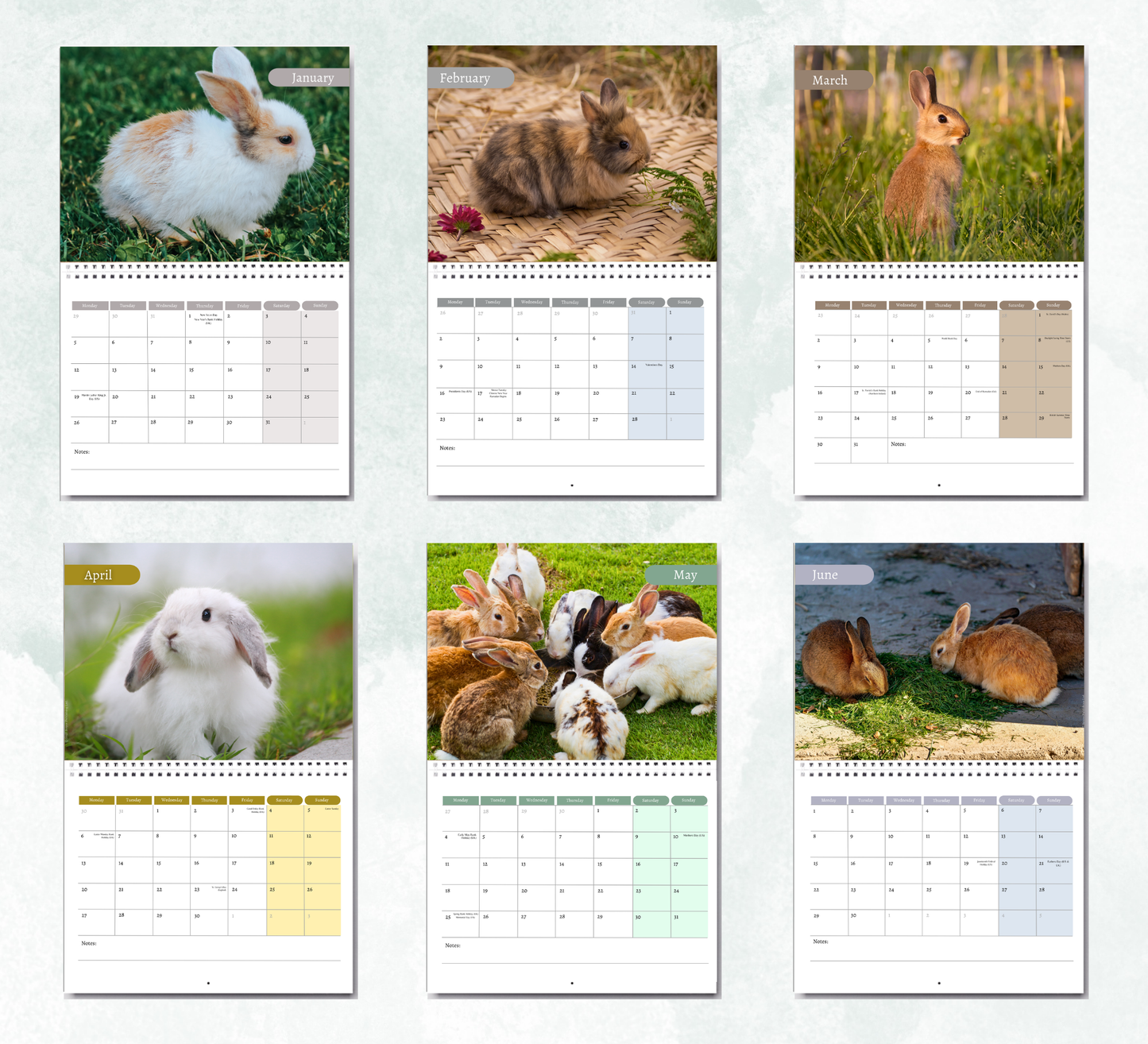 Rabbit Calendar 2027