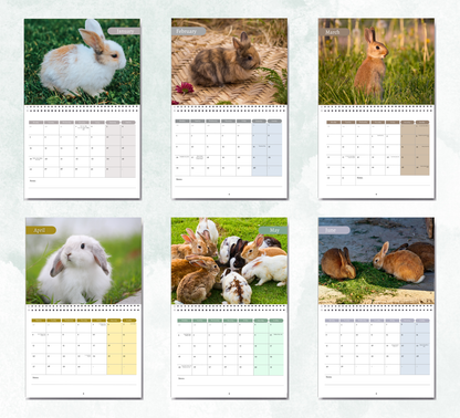 Rabbit Calendar 2027