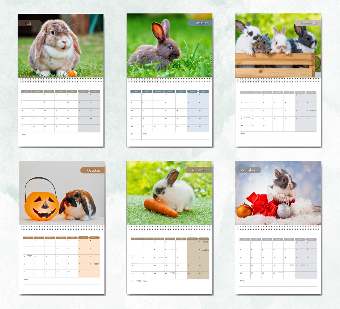 Rabbit Calendar 2027
