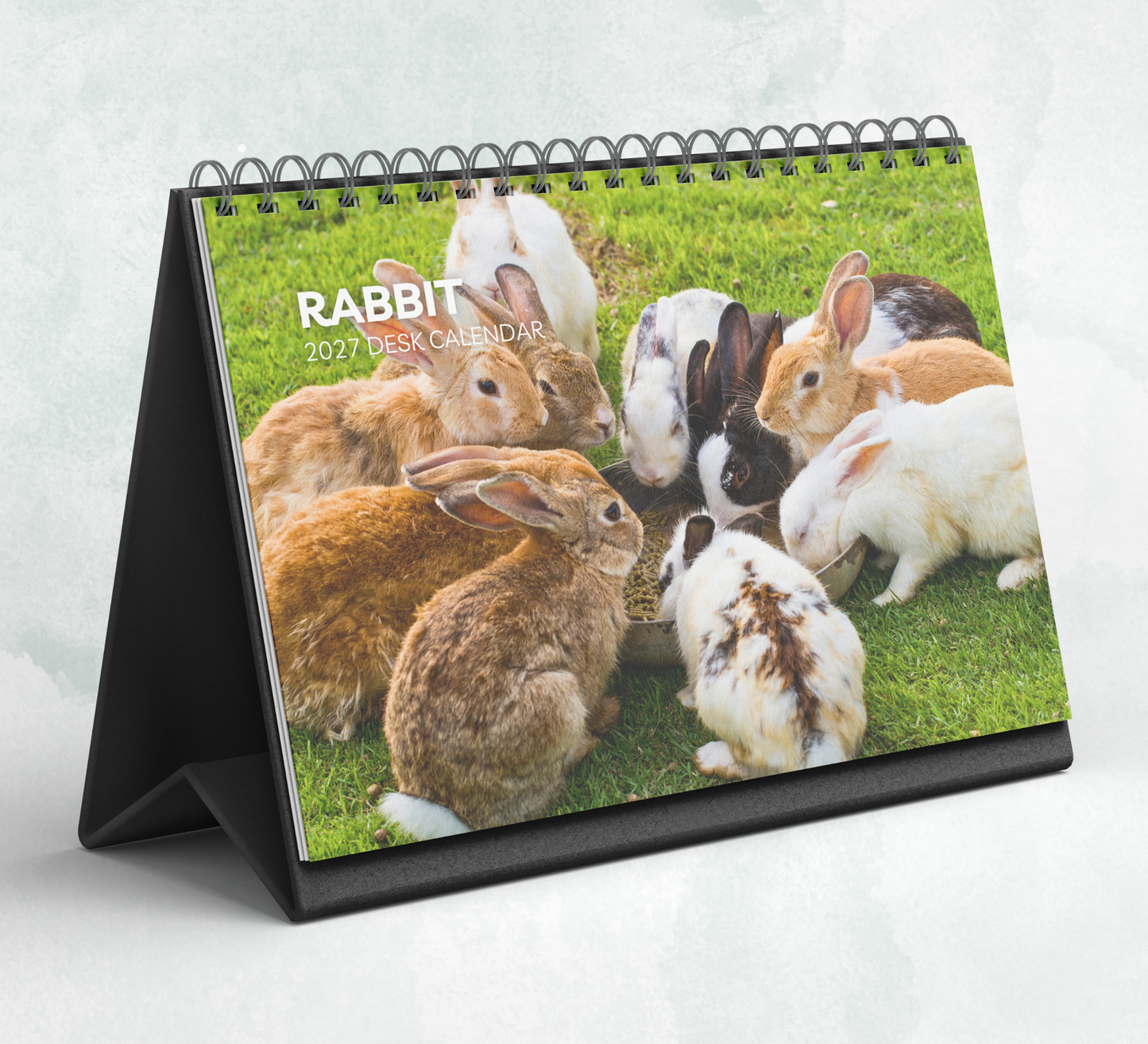 Rabbit Desk Calendar 2027-2028