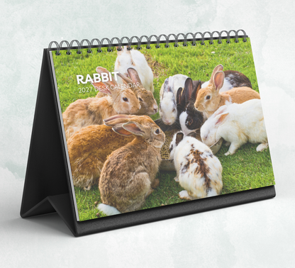 Rabbit Desk Calendar 2027-2028