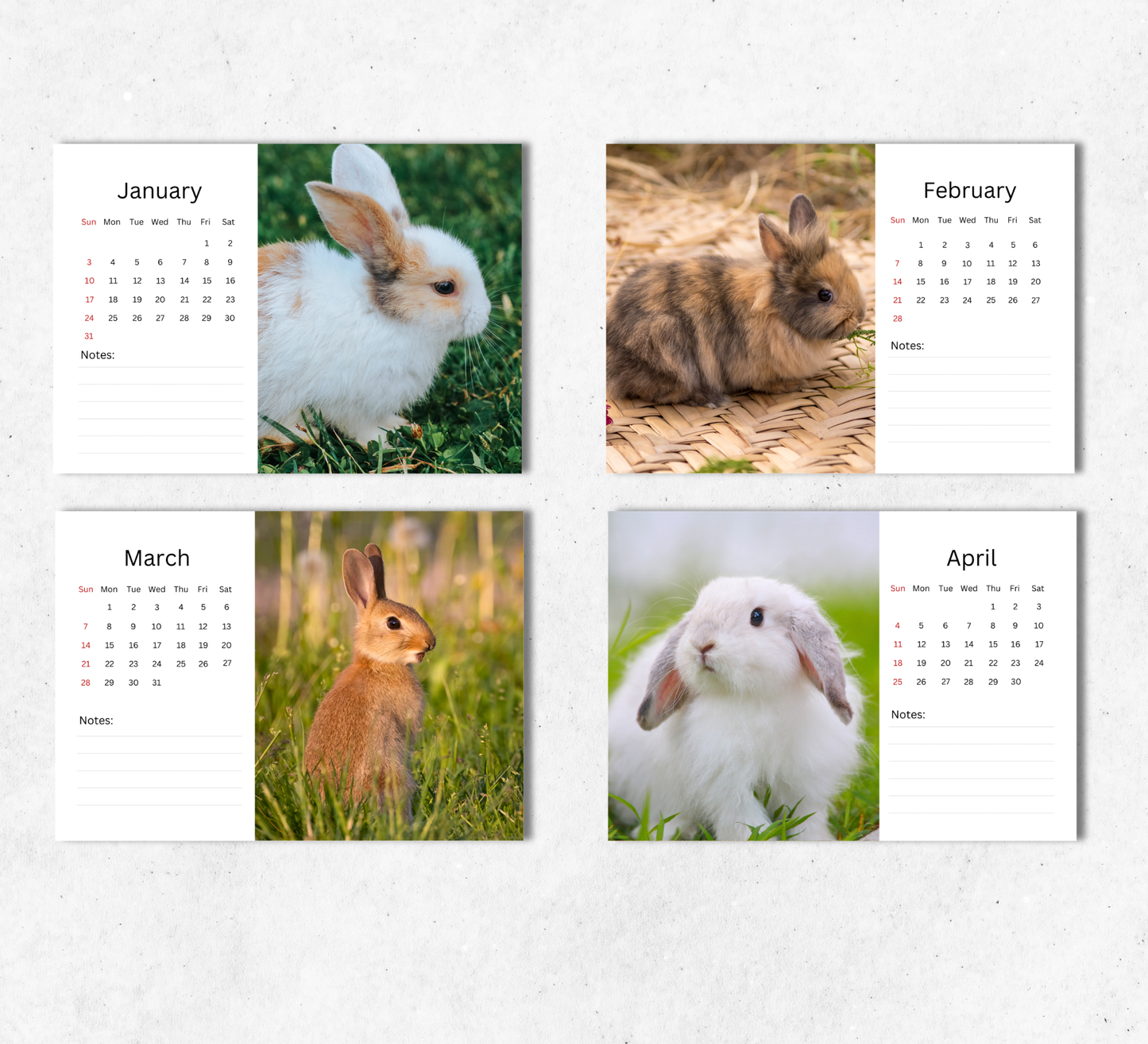 Rabbit Desk Calendar 2027-2028