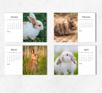 Rabbit Desk Calendar 2027-2028