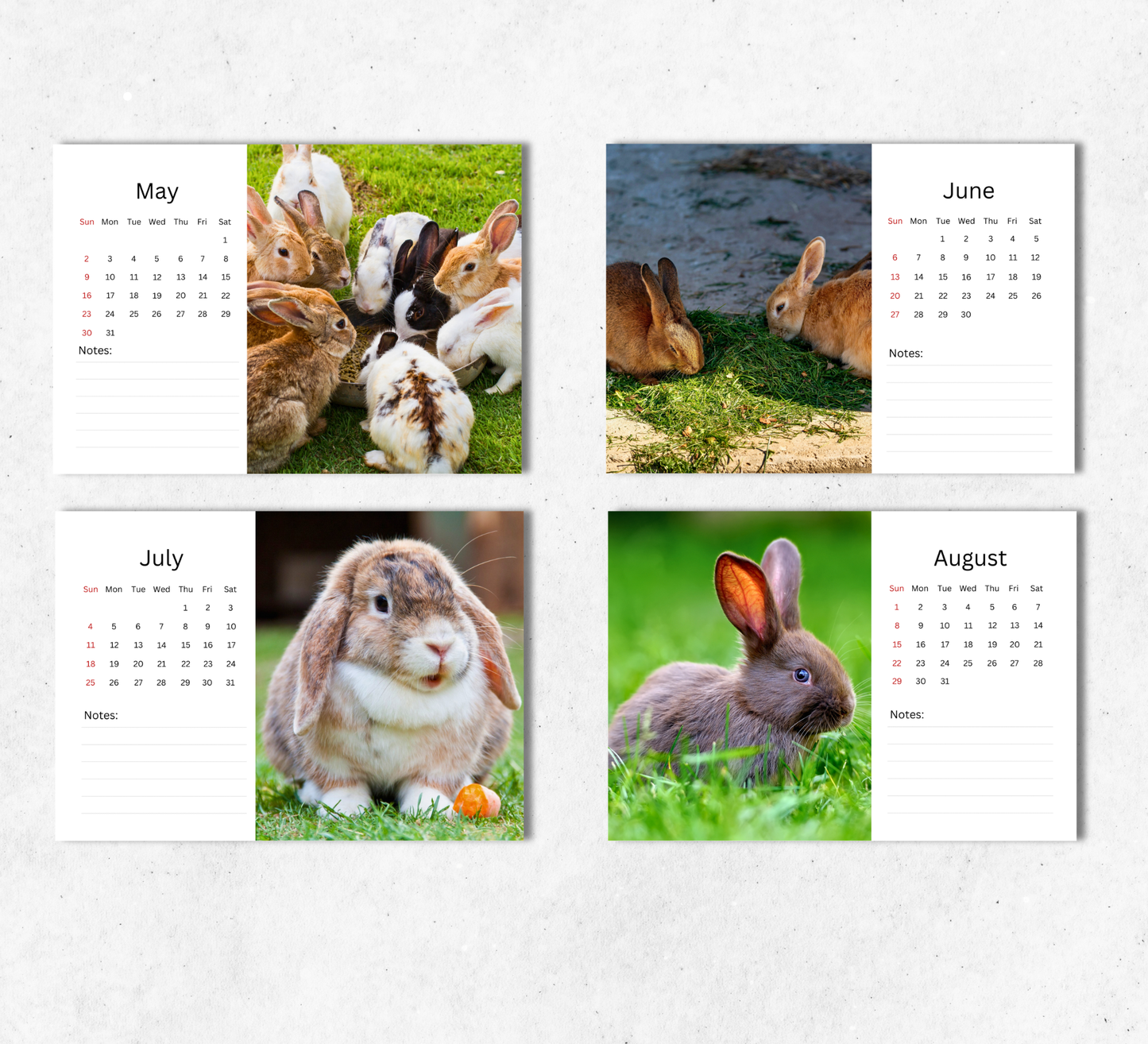 Rabbit Desk Calendar 2027-2028