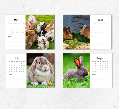 Rabbit Desk Calendar 2027-2028