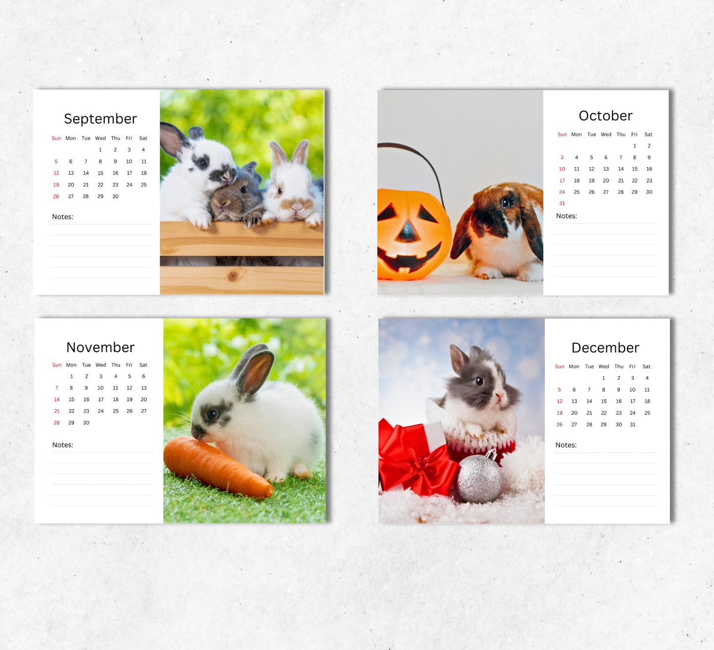 Rabbit Desk Calendar 2027-2028