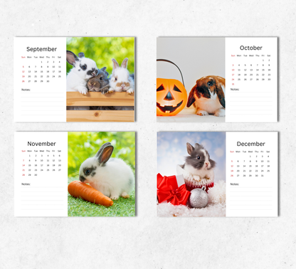 Rabbit Desk Calendar 2027-2028